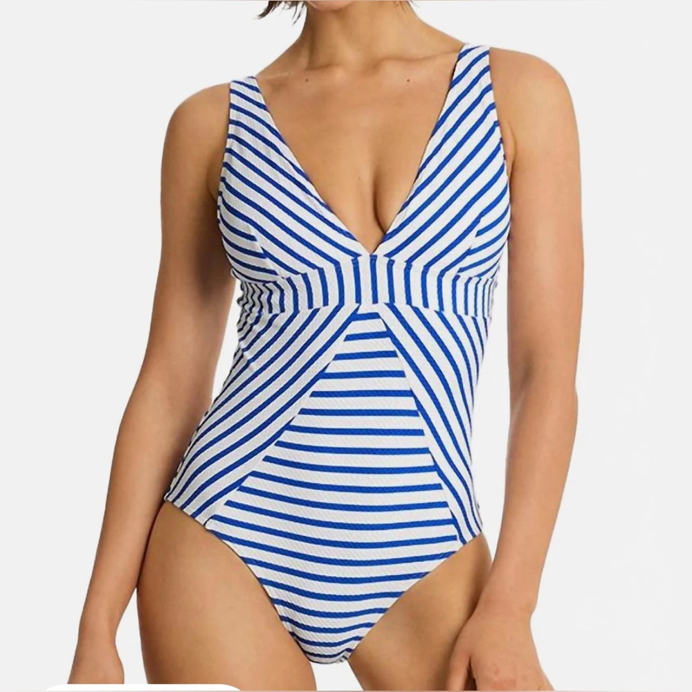 SEA LEVEL AUSTRALIA  
Amalfi Panel Line One Piece Swimsuit In Blue